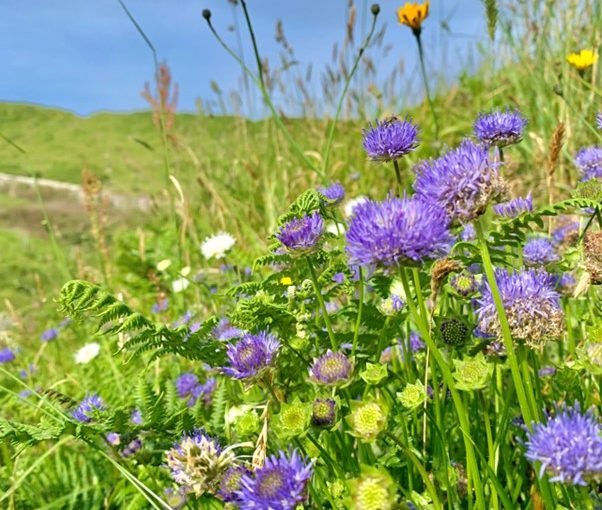 5 ways to get outside, and into nature this summer