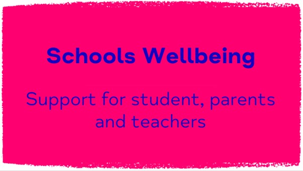 this provides a link to our schools mental health and well being programme.